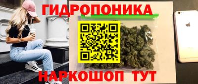 прущая мука Будённовск