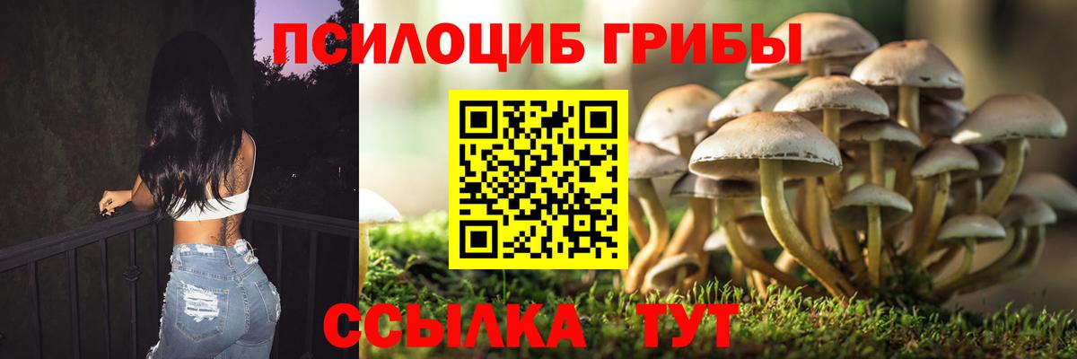 Псилоцибиновые грибы прущие грибы  Вход с VPN  Томск 