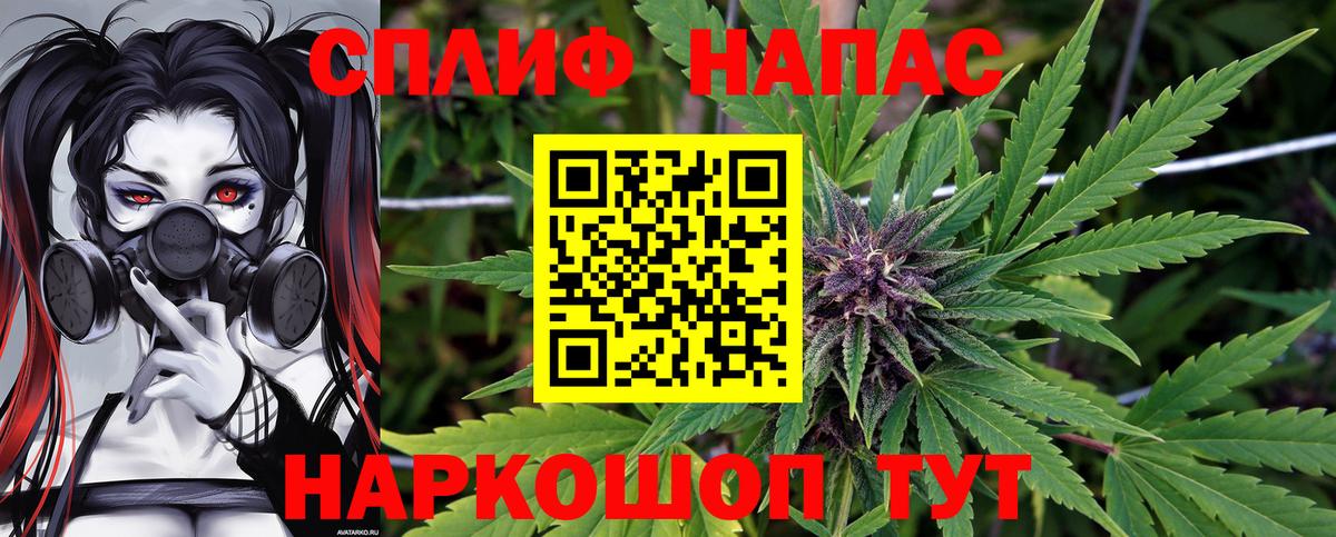 Бошки Шишки SATIVA & INDICA Томск